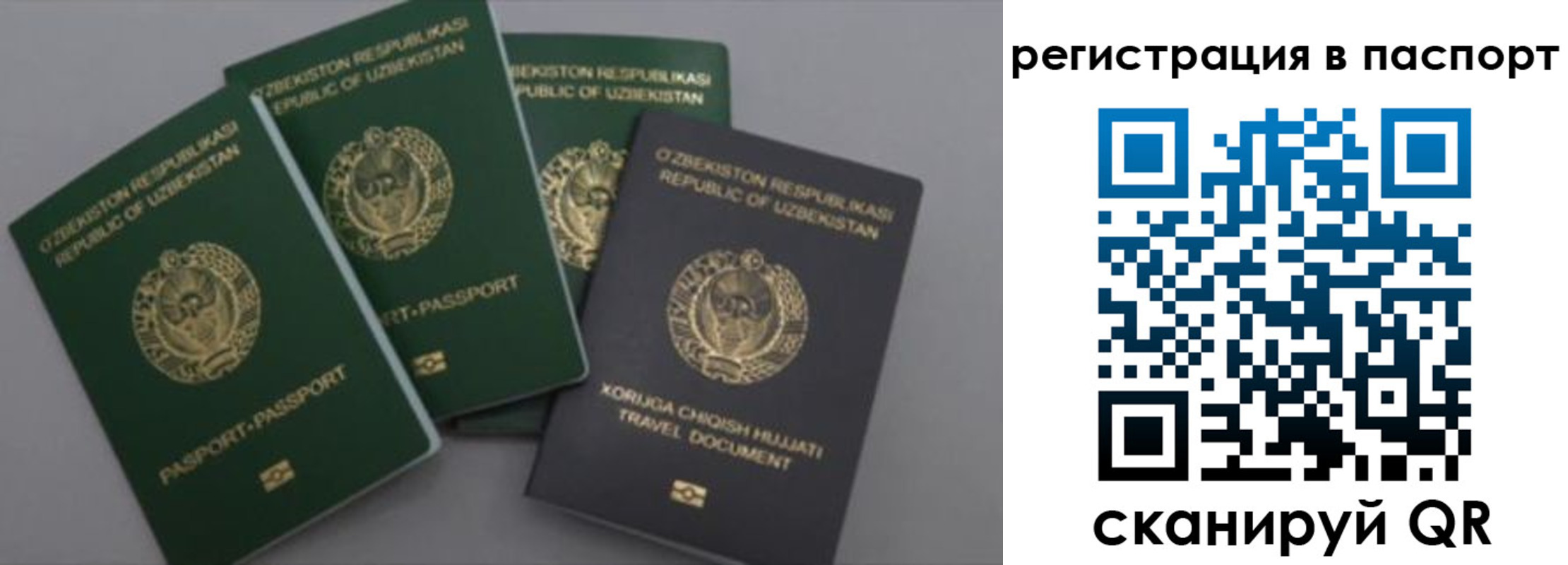 прописка от собственника в Великом Устюге